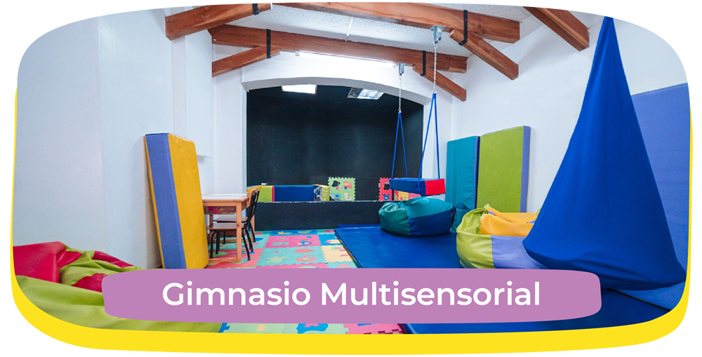 Gimnasio Multisensorial